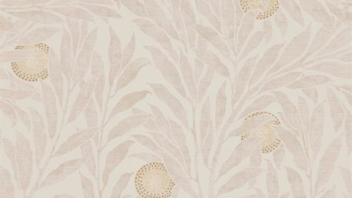 Orange Tree 216404